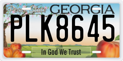 GA license plate PLK8645