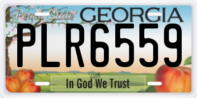 GA license plate PLR6559