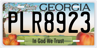 GA license plate PLR8923