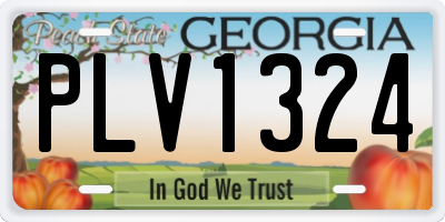 GA license plate PLV1324