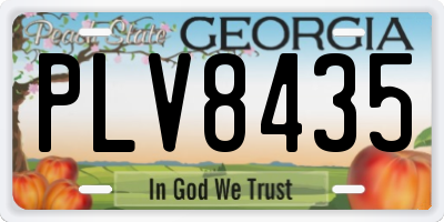 GA license plate PLV8435