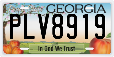 GA license plate PLV8919