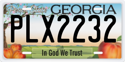 GA license plate PLX2232