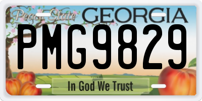 GA license plate PMG9829