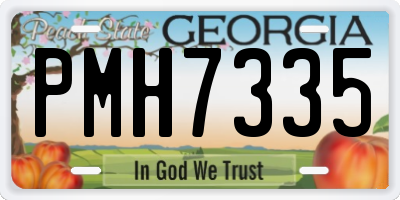 GA license plate PMH7335