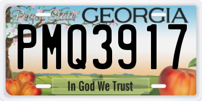 GA license plate PMQ3917