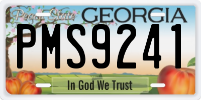 GA license plate PMS9241