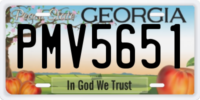 GA license plate PMV5651