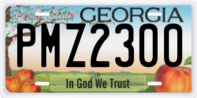 GA license plate PMZ2300