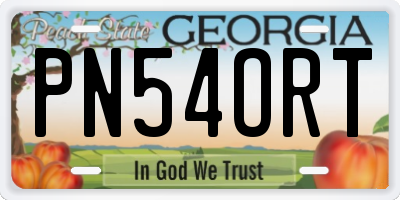 GA license plate PN54ORT