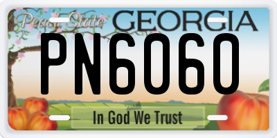 GA license plate PN6060