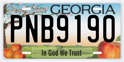 GA license plate PNB9190