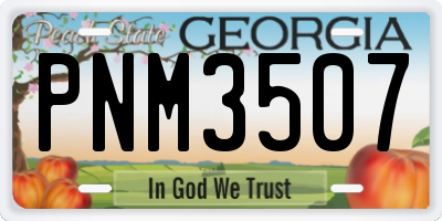 GA license plate PNM3507