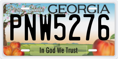 GA license plate PNW5276