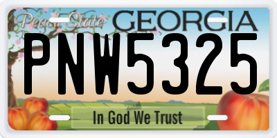GA license plate PNW5325