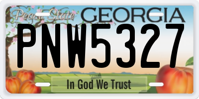 GA license plate PNW5327