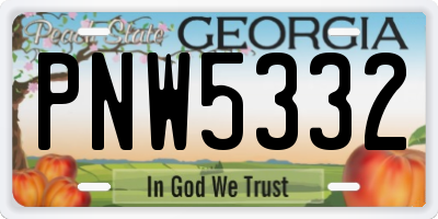 GA license plate PNW5332