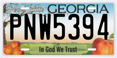 GA license plate PNW5394