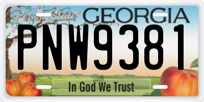 GA license plate PNW9381