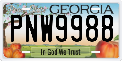 GA license plate PNW9988