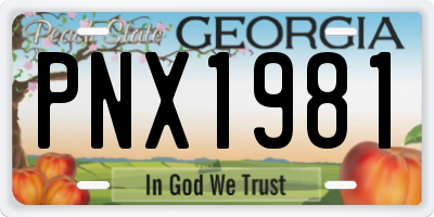 GA license plate PNX1981