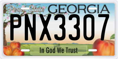 GA license plate PNX3307