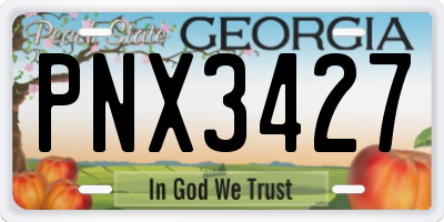 GA license plate PNX3427