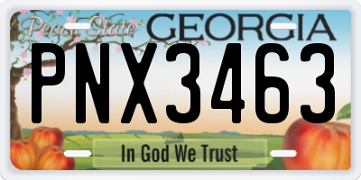 GA license plate PNX3463