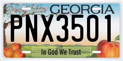 GA license plate PNX3501