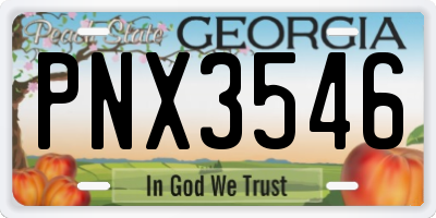 GA license plate PNX3546