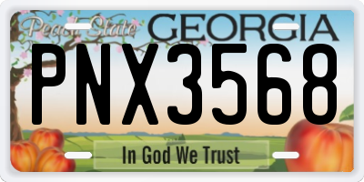 GA license plate PNX3568
