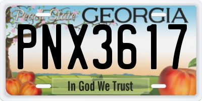GA license plate PNX3617