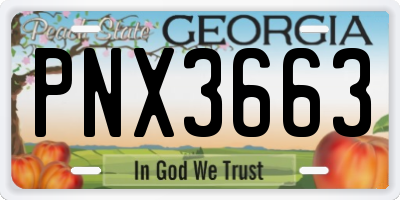 GA license plate PNX3663