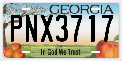 GA license plate PNX3717