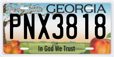 GA license plate PNX3818