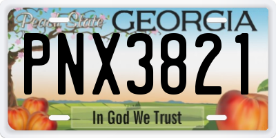 GA license plate PNX3821