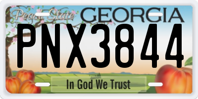 GA license plate PNX3844