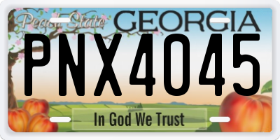 GA license plate PNX4045