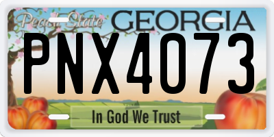 GA license plate PNX4073
