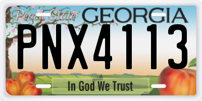 GA license plate PNX4113
