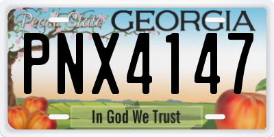 GA license plate PNX4147