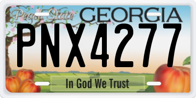 GA license plate PNX4277