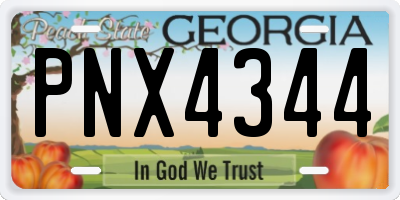 GA license plate PNX4344