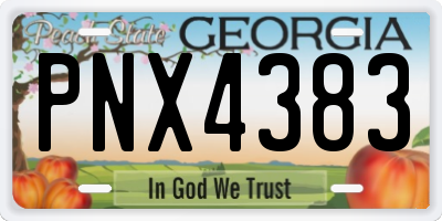 GA license plate PNX4383