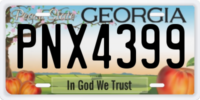 GA license plate PNX4399