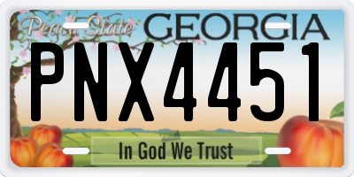 GA license plate PNX4451