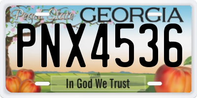 GA license plate PNX4536