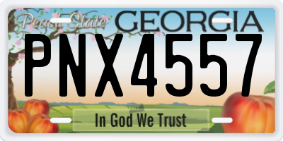 GA license plate PNX4557