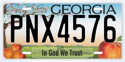 GA license plate PNX4576