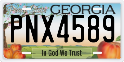 GA license plate PNX4589